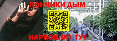 сатива Кудрово